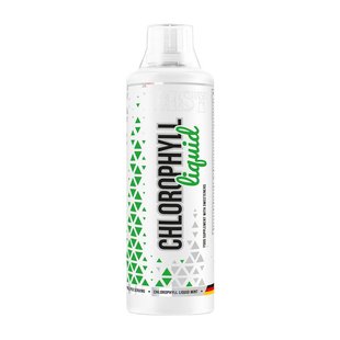 Liquid Chlorophyll MST 500 ml mint купить в Киеве и Украине