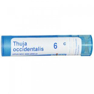 Туя западная 6C, Boiron, Single Remedies, 80 драже купить в Киеве и Украине