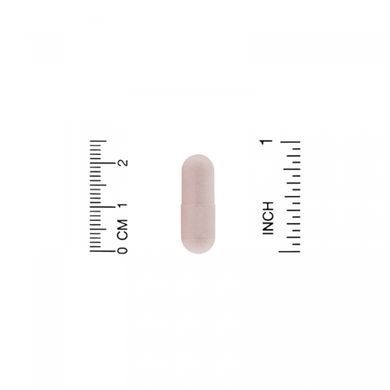 Пробіотик для підтримки сечовивідних шляхів ZOI Research (Probiotic UTI Support) 60 вегетаріанських капсул