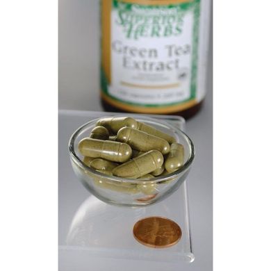 Екстракт зеленого чаю (стандартизований), Green Tea Extract (Standardized), Swanson, 120 капсул