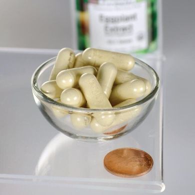 Екстракт баклажана 20: 1, Eggplant Extract 20: 1, Swanson, 450 мг, 30 капсул