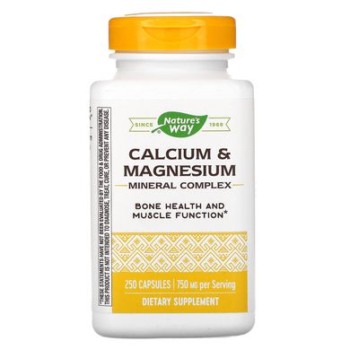Кальцій і магній Nature's Way (Calcium and Magnesium) 750 мг 250 капсул