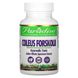 Колеус форсколии Paradise Herbs (Coleus forskolii) 250 мг 60 капсул фото
