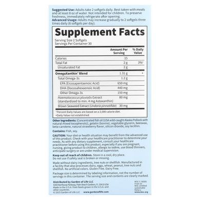 Омега-3 с Омегаксантин, Omega-3 with OmegaXanthin, Garden of Life, 60 капсул купить в Киеве и Украине