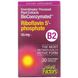 BioCoenzymated, B2, рибофлавин 5-фосфат, Natural Factors, 50 мг, 30 вегетарианских капсул фото