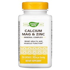 Кальций магний и цинк Nature's Way (Calcium Mag and Zinc) 250 капсул купить в Киеве и Украине