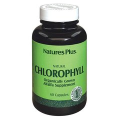 Хлорофіл Chlorophyll Natures Plus 600 мг 60 капсул