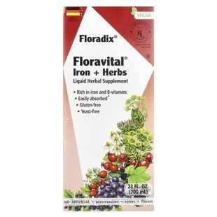 Gaia Herbs, Floradix, iron and herbs Floravital, 23 fl. oz (700 ml)