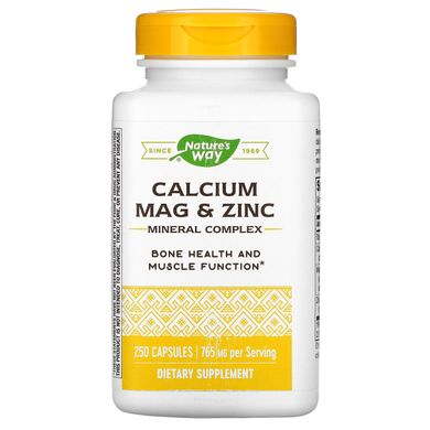 Кальцій магній і цинк Nature's Way (Calcium Mag and Zinc) 250 капсул