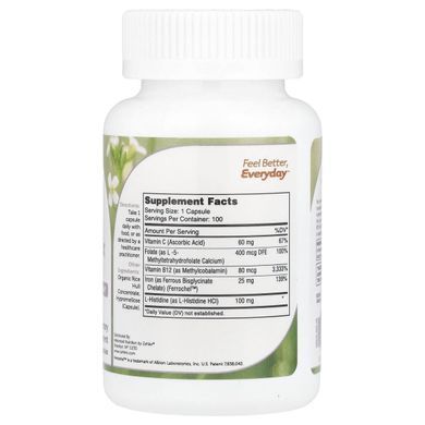 Комплекс заліза Zahler (Iron Complex) 100 капсул