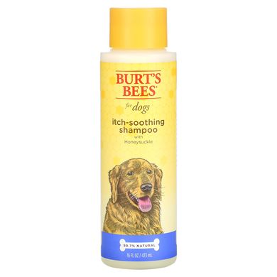 Burt's Bees, Шампунь проти сверблячки для собак з жимолістю, 16 рідких унцій (473 мл)