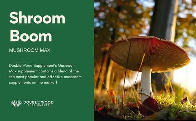 Смесь из 10 медицинских грибов Double Wood (Mushroom Max) 120 капсул купить в Киеве и Украине