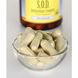 S.O.D. антиоксидантный комплекс, S.O.D. Antioxidant Complex, Swanson, 60 капсул фото