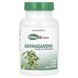 Ашваганда Natures Plus (Ashwagandha Herbal Actives) 450 мг 60 Вегетаріанських Капсул фото