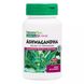 Ашваганда Natures Plus (Ashwagandha Herbal Actives) 450 мг 60 Вегетарианских Капсул фото