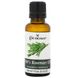 Масло розмарина Cococare (Rosemary Oil) 30 мл фото