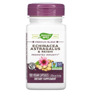 Эхинацея астрагал и рейши Nature's Way (Echinacea Astragalus & Reishi) 400 мг 100 капсул купить в Киеве и Украине