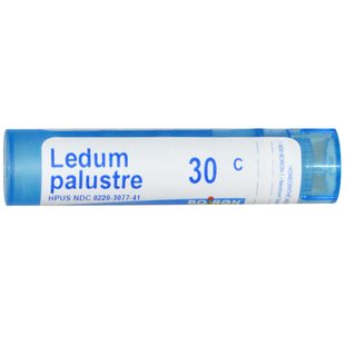 Багульник болотный 30C Boiron (Single Remedies Ledum Palustre) 80 гранул купить в Киеве и Украине