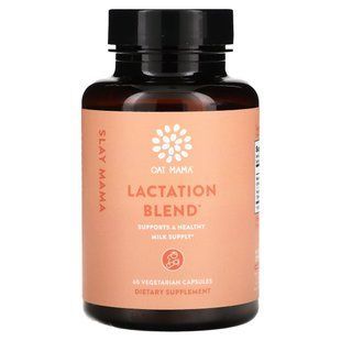Oat Mama, Slay Mama, Lactation Blend, 60 Vegetarian Capsules купить в Киеве и Украине