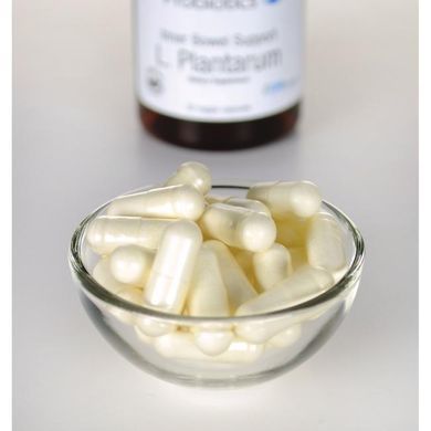 Пробіотик L plantarum для підтримки кишківника Swanson (L Plantarum Inner Bowel Support) 10 мільярдів КУО 30 капсул