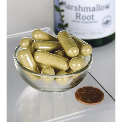 Корень алтея, Marshmallow Root, Swanson, 500 мг, 90 капсул купить в Киеве и Украине