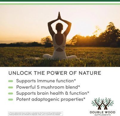 Double Wood Mushroom Gummies (5 Types) 250 mg 60 Gummies