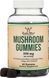 Double Wood Mushroom Gummies (5 Types) 250 mg 60 Gummies