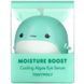 Увлажняющая охлаждающая сыворотка для глаз с водорослями, Moisture Boost Cooling Algae Eye Serum, Tony Moly, 15 мл фото