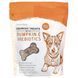Chew + Heal, Crunchy Treats with Pumpkin & Prebiotics, For Dogs, All Ages, 12 oz (340 g) фото