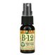 Спрей з вітаміном B12 Pure Vegan (Vitamin B12) 500 мкг 29 мл фото