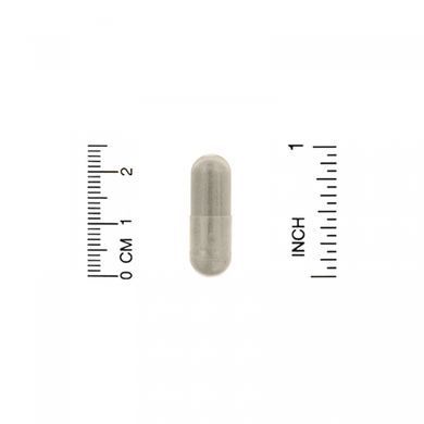 Контроль рівня цукру в крові Vita Logic (Blood Sugar Formula) 180 капсул