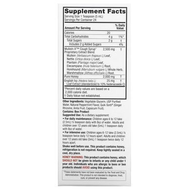 Nature's Answer, Natural Mullen-X Cough Syrup, Multi-System, 4 fl oz (120 ml)