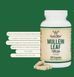 Экстракт листьев коровяка для здоровья органов дыхания Double Wood (Mullein Leaf Extract)180 капсул фото
