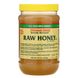 Необроблений мед, категорія А в США, YS Eco Bee Farms, 22,0 унції (623 г) фото