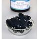 Масло криля и астаксантин, Krill Oil & Astaxanthin, Swanson, 30 капсул фото