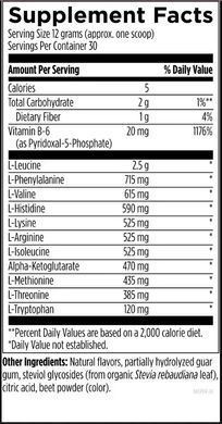 Designs for Health Amino Acid Supreme Powder 360g