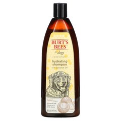 Burt's Bees, Care Plus+, зволожуючий шампунь для собак з кокосовим маслом, 16 рідких унцій (473 мл)