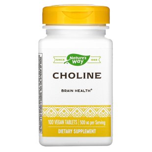 Холин Nature's Way (Choline) 500 мг 100 таблеток купить в Киеве и Украине