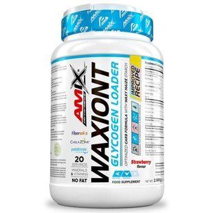 Углеводный комплекс AMIX Performance (WaxIonT) 1000 г клубника купить в Киеве и Украине
