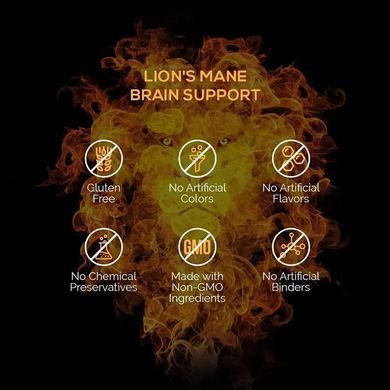 Lion's Mane (Hericium Echinus) for Cognitive Health by Intelligent Labs (120 capsules)