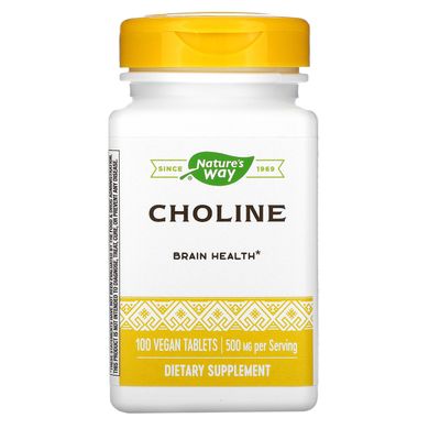 Холин Nature's Way (Choline) 500 мг 100 таблеток купить в Киеве и Украине