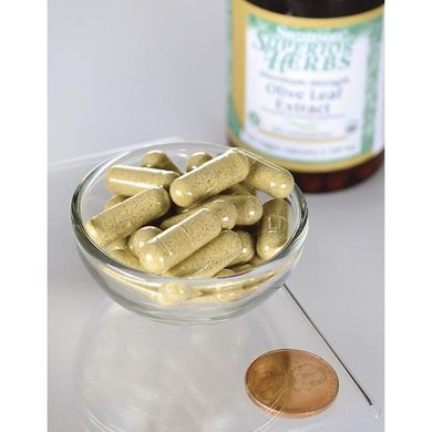 Swanson Maximum Strength Olive Leaf Extract 100 mg 60 capsules