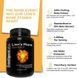 Lion's Mane (Hericium Echinus) for Cognitive Health by Intelligent Labs (120 capsules)