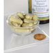 Агаріус Блазі Екстракт гриба, Agaricus Blazei Mushroom Extract, Swanson, 500 мг, 90 капсул фото