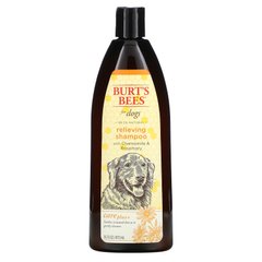 Burt's Bees, Care Plus+, заспокійливий шампунь для собак з ромашкою та розмарином, 16 рідких унцій (473 мл)