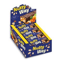 Nutty Way - 20x40g (глазурований) VALE купить в Киеве и Украине