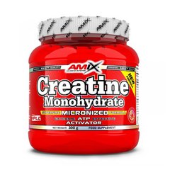 Creatine Monohydrate AMIX 300 g купить в Киеве и Украине