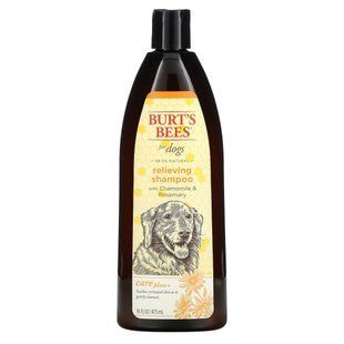 Burt's Bees, Care Plus +, успокаивающий шампунь для собак с ромашкой и розмарином, 16 жидких унций (473 мл) купить в Киеве и Украине