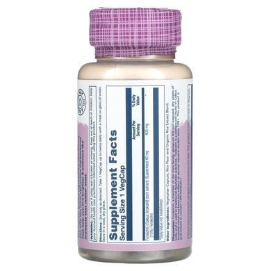 Ayurvedic herbs, tropical mint, 400 mg, 60 vegetarian capsules