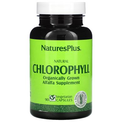 Натуральний хлорофіл, Nature's Plus, 90 рослинних капсул